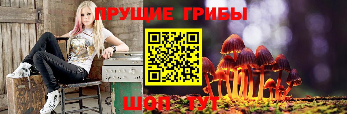 Тара  Псилоцибиновые грибы мухоморы  Вход с VPN 