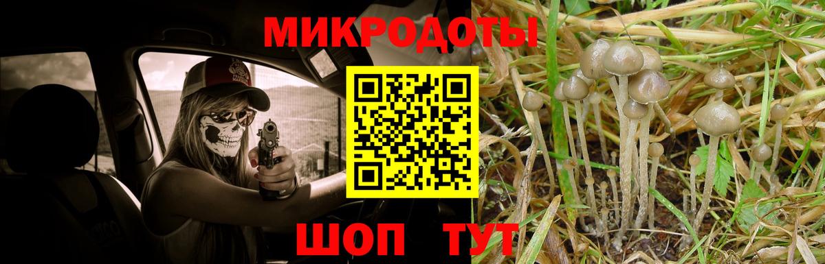 Псилоцибиновые грибы Psilocybe Тара