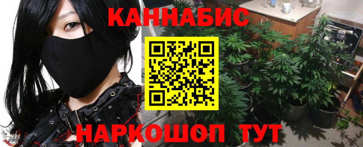 Конопля семена  Шишки марихуана OG Kush  Тара  Вход с VPN  Конопля план 